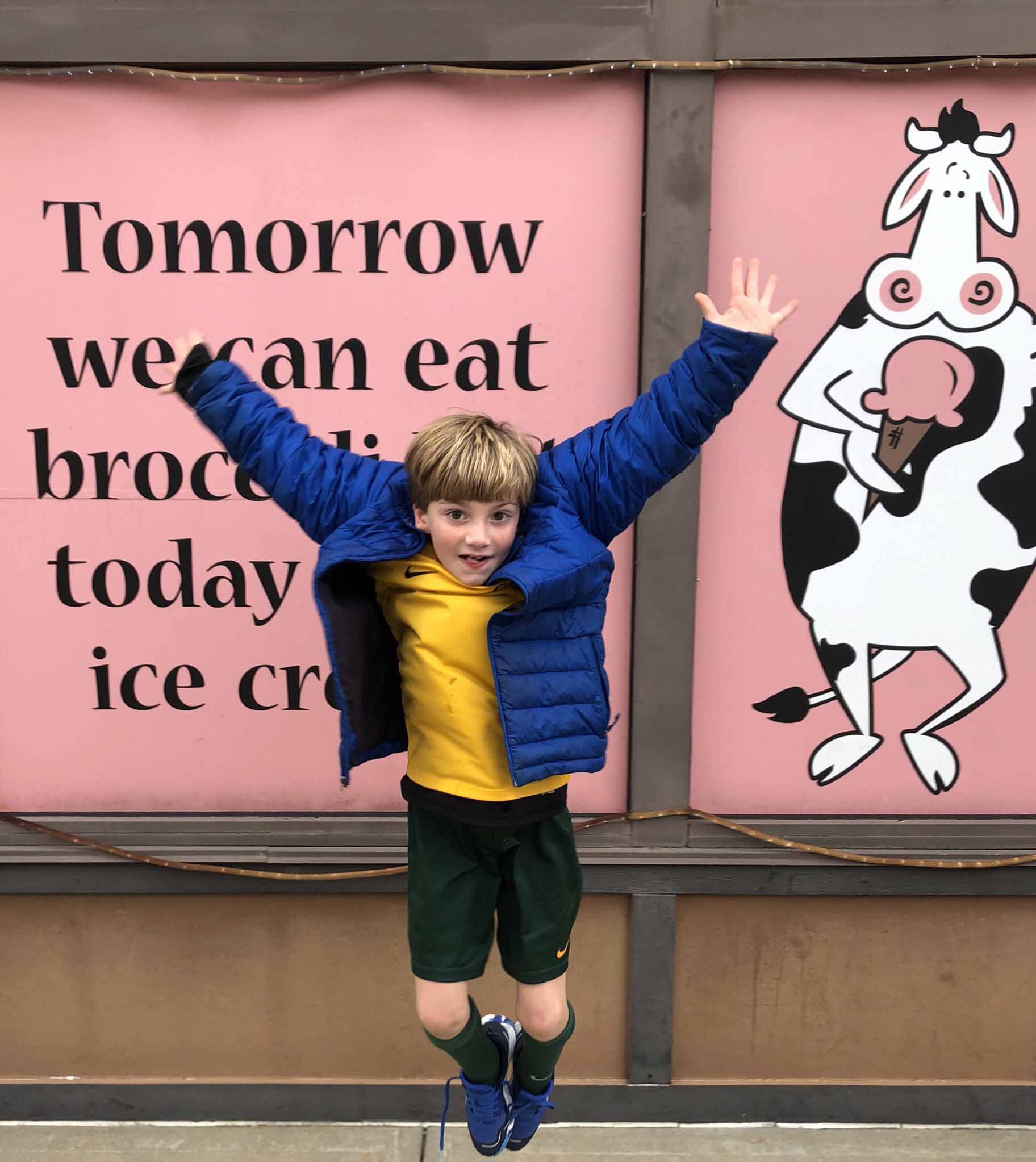 comfy cow ice cream