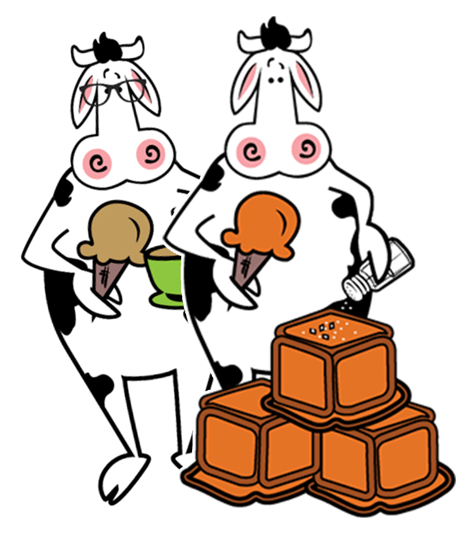 comfy cow careers