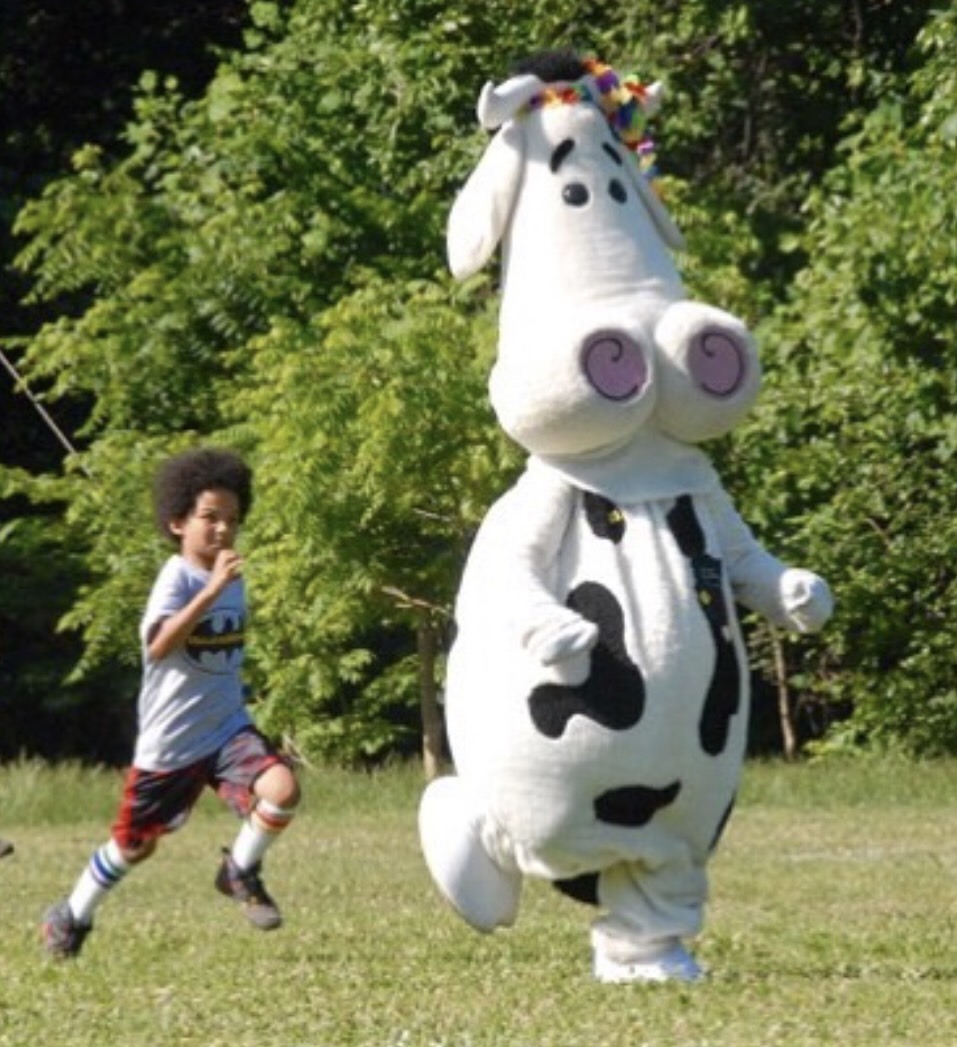 comfy cow fundraising