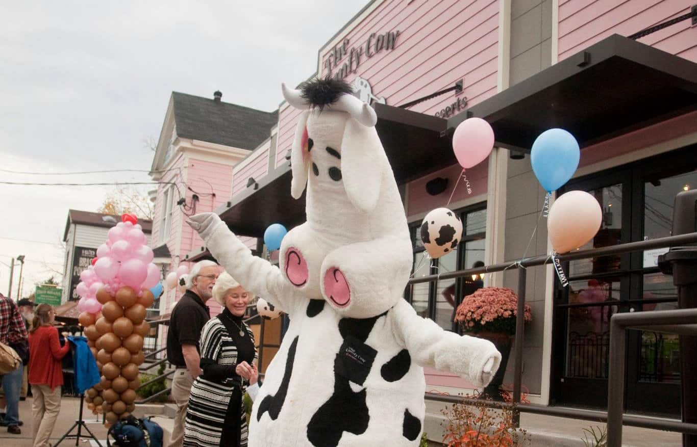 The Comfy Cow